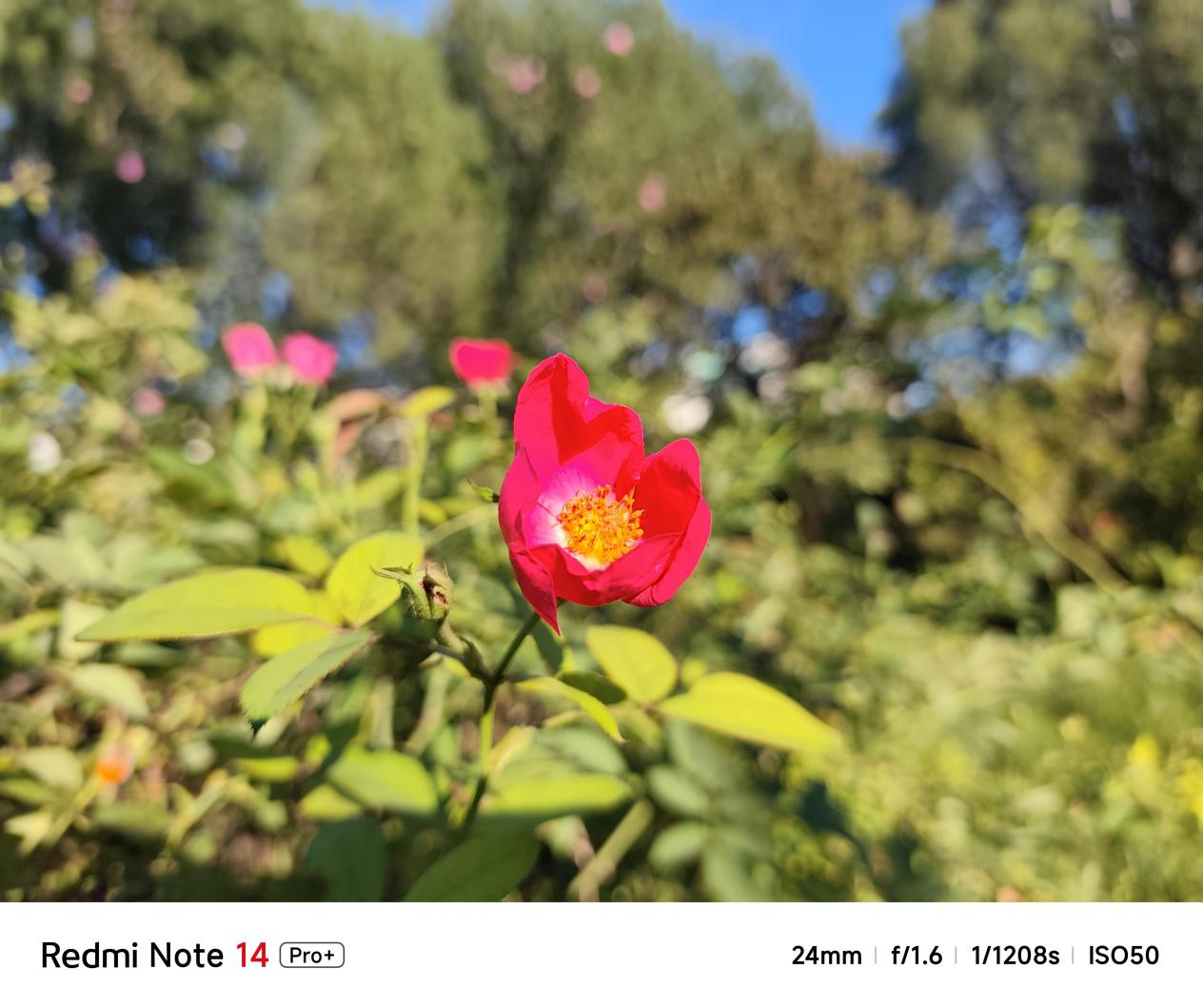 ʵRedmi Note 14 Pro + Ʒʴ쳬ǿսʿ