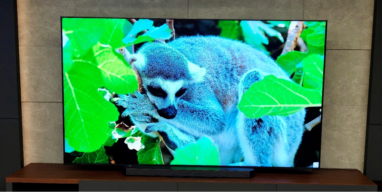 Neo QLED 4K QN90F  ¶ͥӰ