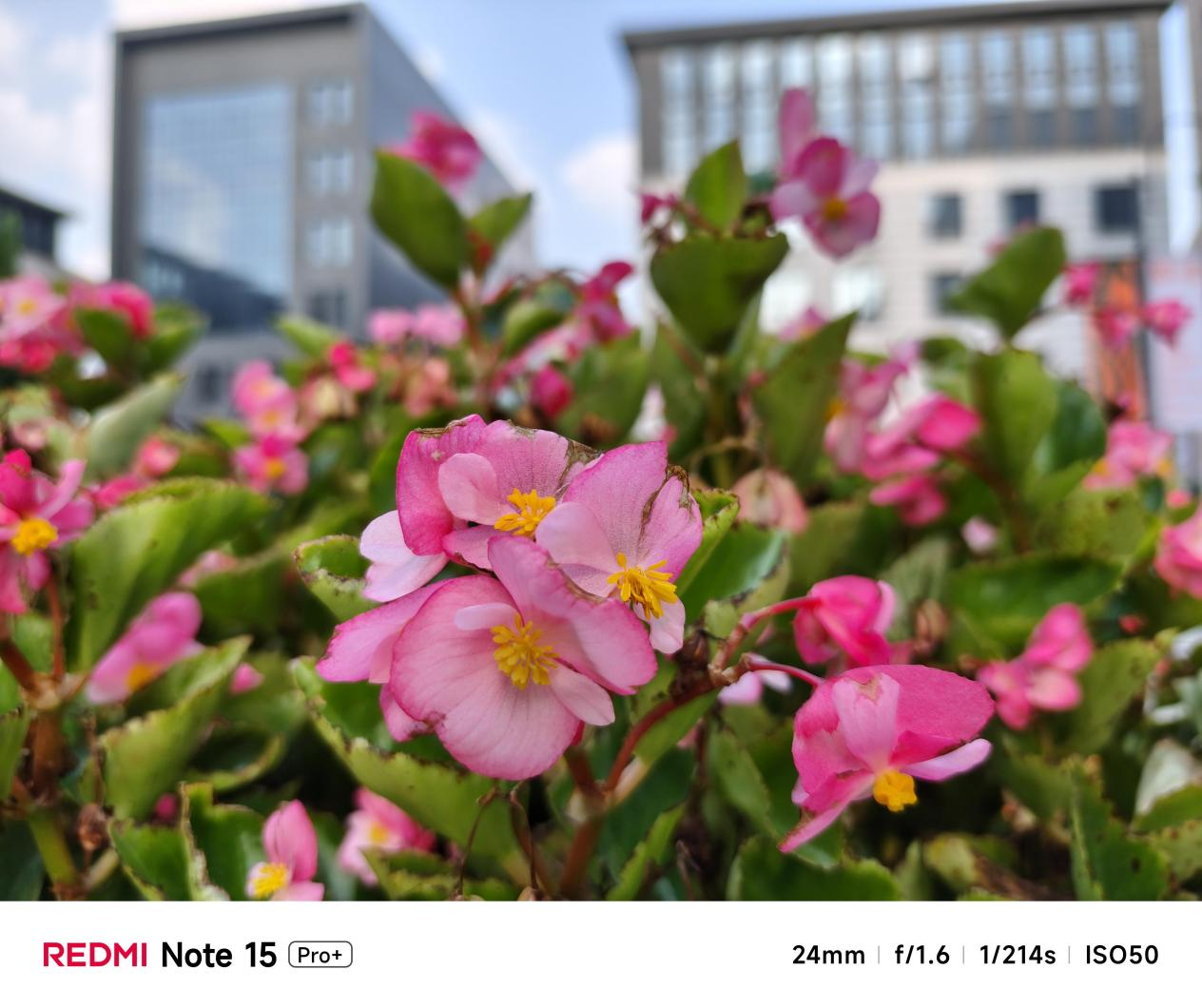 ʵ REDMI Note 15 Pro+á˳
