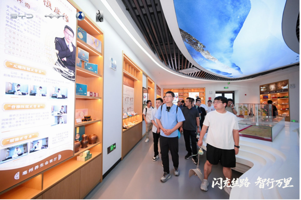 闪充丝路,智行万里——比亚迪护航海上新丝路